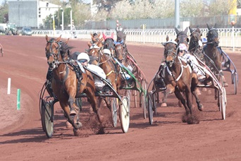 Hippodrome de Lyon - Carré de soie